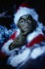 grinch-still41.jpg