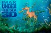 underthesea02_1600x1200.jpg